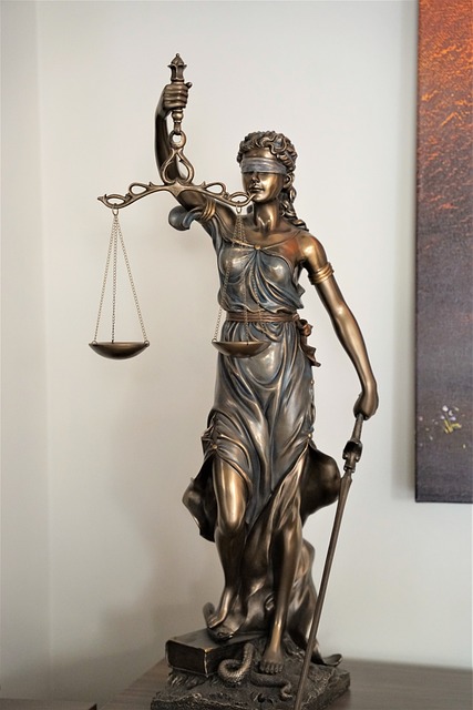 lawyer-attorney-law-judge-640x480-11370154.jpeg